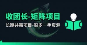 【团长合作】视频矩阵项目_招发手矩阵+剪辑师，共赢项目【揭秘】-沧海聊项目