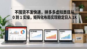 不囤货不发快递，拼多多虚拟类目从 0 到 1 实操，矩阵化布局实现稳定日入 1K-沧海聊项目
