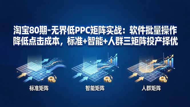 淘宝80期-无界低PPC矩阵实战：软件批量操作降低点击成本，标准+智能+人群三矩阵投产择优-沧海聊项目