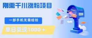 刚需千川涨粉项目，一部手机无需技术，单日变现1k+，当天做当天见收益【揭秘】-沧海聊项目