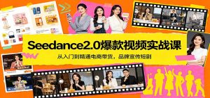 Seedance2.0爆款视频实战课：从入门到精通电商带货，品牌宣传短剧-沧海聊项目