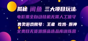 闲鱼三种玩法 全自动电影票 售卖游戏账号 爆品选品库训练营-沧海聊项目