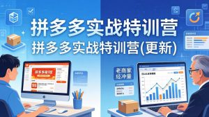 拼多多实战特训营(更新4月18-沧海聊项目