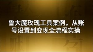 引流创业粉卖软件教学：鲁大魔玫瑰工具案例，从账号设置到变现全流程实操-沧海聊项目
