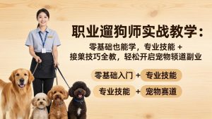 职业遛狗师实战教学：零基础也能学，专业技能 + 接单技巧全教，轻松开启宠物赛道副业-沧海聊项目