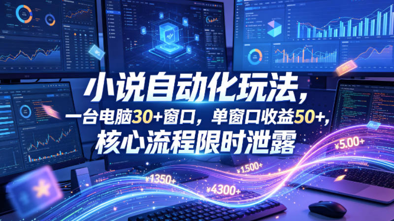 小说挂G自动化玩法，一台电脑30+窗口，单窗口收益50+，核心流程限时泄露【揭秘】-沧海聊项目