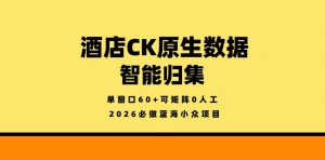 酒店CK原生数据智能归集，单窗口60+可矩阵0人工，2026必做蓝海小众项目【揭秘】-沧海聊项目