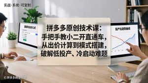 拼多多原创技术课：手把手教小二开直通车，从出价计算到模式搭建，破解低投产、冷启动难题-沧海聊项目