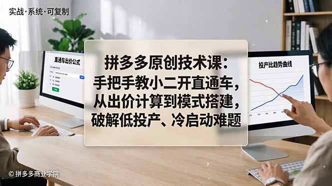 拼多多原创技术课：手把手教小二开直通车，从出价计算到模式搭建，破解低投产、冷启动难题-沧海聊项目