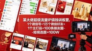 某大佬超级流量IP搞钱训练营，1个微信号+1万个微信好友+1个主打品+100条朋友圈-短视选题=100W-沧海聊项目