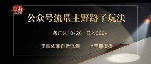 公众号流量主野路子玩法 单条广告10-20元 日入500+-沧海聊项目