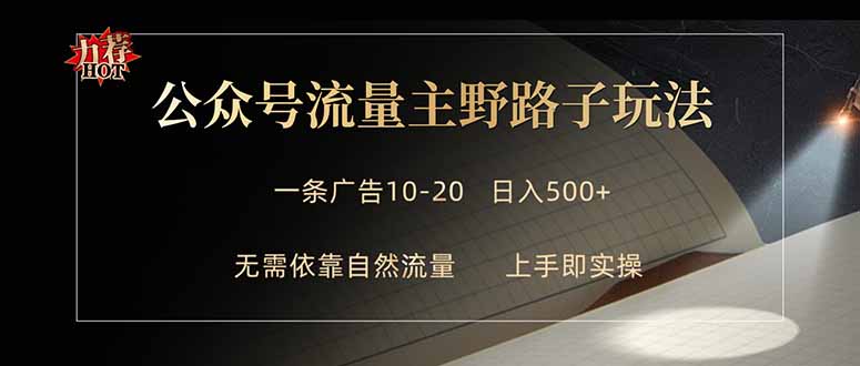 公众号流量主野路子玩法 单条广告10-20元 日入500+-沧海聊项目