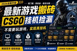 最新游戏搬砖，CSGO纯挂机，不需要玩游戏，实现真挂机，月入1W+，五一小高峰上车可吃肉，…-沧海聊项目