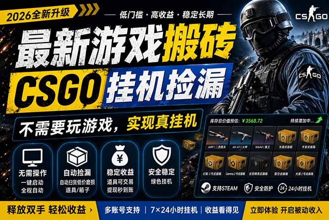最新游戏搬砖，CSGO纯挂机，不需要玩游戏，实现真挂机，月入1W+，五一小高峰上车可吃肉，…-沧海聊项目