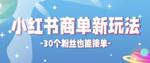 合新手小白操作的小红书商单新玩法，低粉丝也能接单，一个月接三单赚了150+！-沧海聊项目