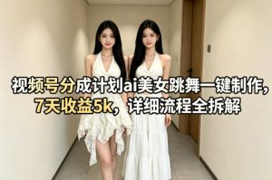 视频号分成计划ai美女跳舞一键制作，7天收益5k，详细流程全拆解-沧海聊项目
