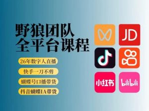 野狼团队2026新版全平台短视频带货教学，打开流量突破口，开始Ai带货(更新26年4月25日)-沧海聊项目