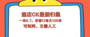 上班也能玩的酒店CK数据归集，一单0.7单窗口每天可做100单，一个人就能矩阵操作【揭秘】-沧海聊项目