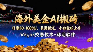 海外美金AI搬砖技术Vegas交易技术+聪明软件【训练营第七期】，日赚50-100U-沧海聊项目