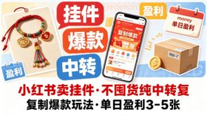 小红书卖挂件，不囤货纯中转复制爆款玩法，单日盈利3-5张-沧海聊项目