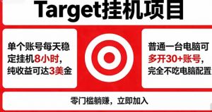 海外平台Target，正规运营商合作、技术兜底长期稳定、防风控、任务不断档、收益透明、灵活提…-沧海聊项目