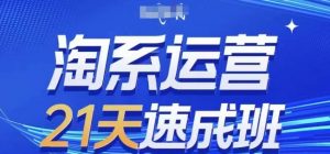 淘系运营21天速成班，0基础轻松搞定淘系运营，不做假把式，快速复制落地(更新26年4月)-沧海聊项目