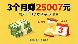 3个月赚钱25007元，每天工作1个小时，新手3天全部学会！-沧海聊项目