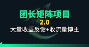 【团长合作2.0】视频矩阵项目_招发手矩阵+剪辑师，共赢项目【揭秘】-沧海聊项目