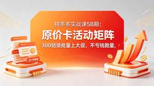 拼多多实战课58期：原价卡活动矩阵，300链接批量上大促，不亏钱跑量-沧海聊项目