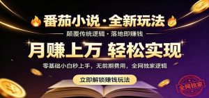 番茄小说5月最新独家玩法，稳定落地实测月入过万！-沧海聊项目