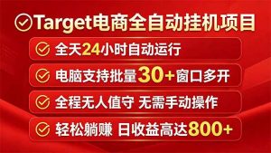 Target电商全自动挂机项目全天自动运行电脑可批量30+窗口运行日收益入800+-沧海聊项目