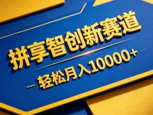 拼享智创新赛道，轻松月入1W+，门槛极低、收益稳定、可长期放大的轻资产项目【揭秘】-沧海聊项目