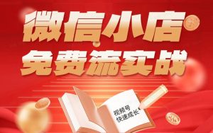 微信小店免费流实战，有货源无货源双模式，从开店到爆单全实操课，小白也能月入1W+-沧海聊项目