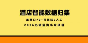 酒店智能数据归集，小众蓝海已经稳定半年之久，单窗口70+零成本矩阵开干【揭秘】-沧海聊项目