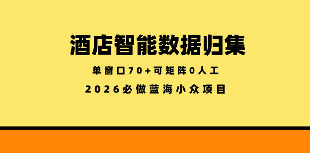 酒店智能数据归集，小众蓝海已经稳定半年之久，单窗口70+零成本矩阵开干【揭秘】-沧海聊项目