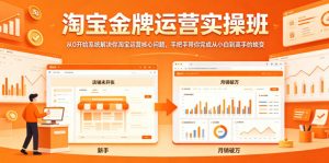 淘宝金牌运营实操班，从0开始系统解决你淘宝运营核心问题，手把手带你完成从小白到高手的蜕变-沧海聊项目