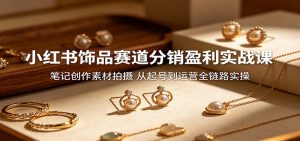 小红书饰品赛道分销盈利实战课：笔记创作素材拍摄，从起号到运营全链路实操-沧海聊项目