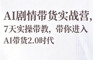 AI剧情带货实战营，7天实操带教，带你进入AI带货2.0时代-沧海聊项目