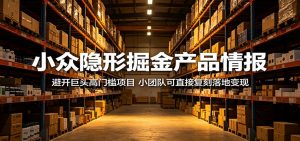 小众隐形掘金产品情报：避开巨头高门槛项目，小团队可直接复刻落地变现-沧海聊项目