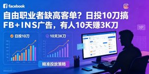 自由职业者缺高客单？日投10刀搞FB+INS广告，有人10天赚3K刀！【原创双语字幕】-沧海聊项目