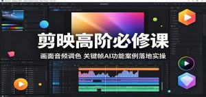 剪映高阶必修课：画面音频调色，关键帧AI功能案例落地实操-沧海聊项目