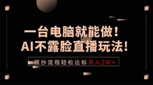 一台电脑就能做！AI不露脸直播玩法，照抄流程轻松达标月入2W+-沧海聊项目