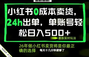 小红书0成本AI卖货，24小时出单，全流程托管，保底日入500+，每天十几分钟就够了【揭秘】-沧海聊项目