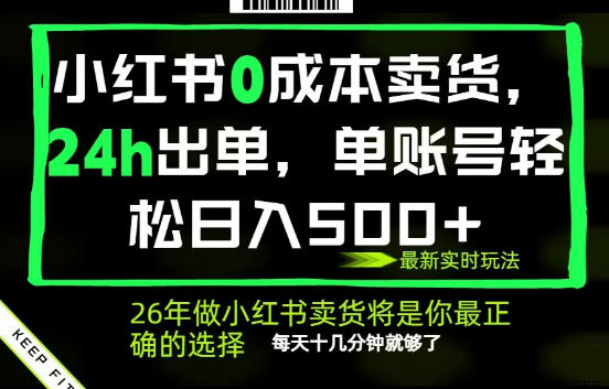 小红书0成本AI卖货，24小时出单，全流程托管，保底日入500+，每天十几分钟就够了【揭秘】-沧海聊项目