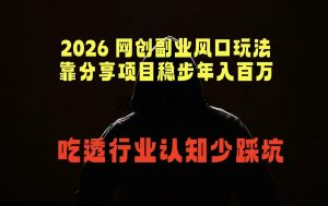 2026 网创副业风口玩法，靠分享项目稳步年入百万，吃透行业认知少踩坑-沧海聊项目