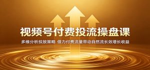 视频号付费投流操盘课：多维分析投放策略，借力付费流量带动自然流长效增长收益-沧海聊项目