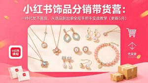 小红书饰品分销带货营：一件代发不囤货，从选品到出单全程手把手实战教学(更新5月-沧海聊项目