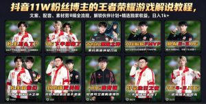 抖音11W粉丝博主的王者荣耀游戏解说教程，文案、配音、素材剪辑全流程，解锁伙伴计划+精选独家收益，日入1k+-沧海聊项目