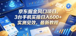 京东掘金风口项目，3台手机实操日入600+，实测见效，最新教程【揭秘】-沧海聊项目