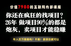 26年请不要疯狂的找项目了，卖项目远比你想象的暴利，你也可以月入10W+【揭秘】-沧海聊项目